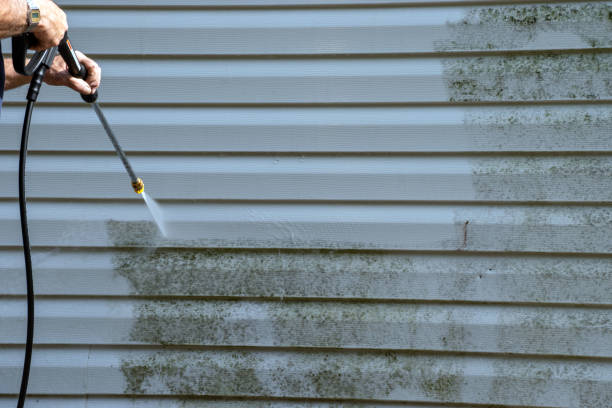 Storm Damage Siding Repair in Pierre Part, LA